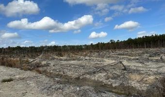 Ahoskie Cofield Road, Ahoskie, NC 27910