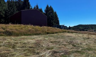 67640 NEVERSTILL Rd, Birkenfeld, OR 97016