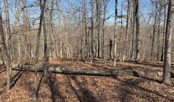 Hidden Valley Lakes lot Ee & Ee S, Annapolis, MO 63620