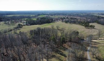 2665 Mt. Carmel Rd, Altoona, AL 35952
