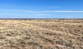 202 Embers Rd, Carrizozo, NM 88301