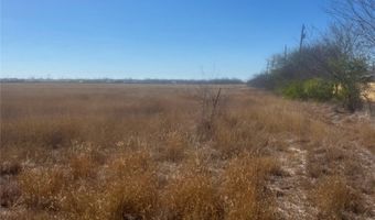 McMaster Street lot 68, Alice, TX 78332