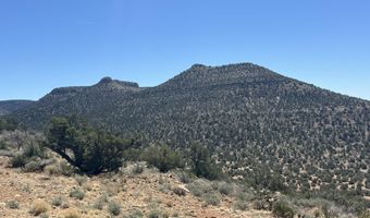 295 Old Deputy Shortline, Ash Fork, AZ 86320