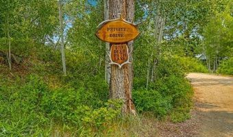 209 Deer Path Ln, Almont, CO 81230