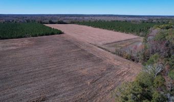 53 86 Acres-TBD Pate Rd, Bishopville, SC 29010