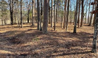 28 Granada Dr, Hot Springs Village, AR 71909