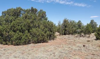 17 County Road 8077, Concho, AZ 85924