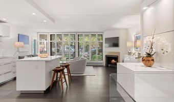 800 E Hopkins Ave A-3, Aspen, CO 81611