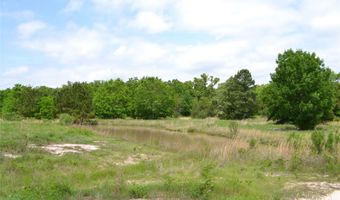 S HWY 69, Alba, TX 75410