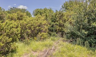 113 Denton Heights Ln, Weatherford, TX 76085