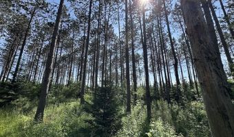 2254 E M30, Alger, MI 48610