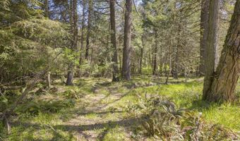 2799 Quines Creek Rd, Azalea, OR 97410