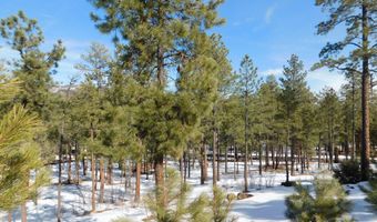 Lot 29 Eric Lane, Alpine, AZ 85920