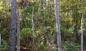 Old Pinola Braxton Rd Road, Braxton, MS 39044