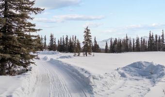 19948 W Glenn Hwy, Chickaloon, AK 99674