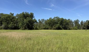 0 S County Road 33, Ashford, AL 36312