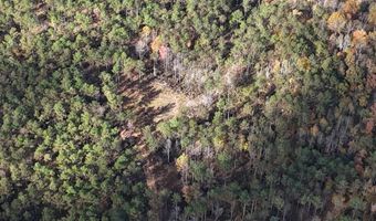 Hwy 9, Bruce, MS 38915