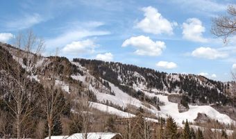 1020 E Durant Ave 301, Aspen, CO 81611