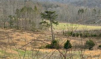 10 Acres Bob Dennings Rd, Allons, TN 38541