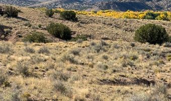 DUANE Street, Abiquiu, NM 87510