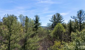 Mitchell Avenue, Bakersville, NC 28705