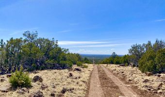 74 County Road 8056, Concho, AZ 85924