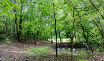 4180 Kingsport Hwy, Afton, TN 37616