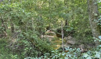 Old Golf Course Road, Batesburg, SC 29006