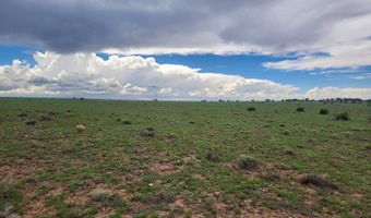 67 66 59 ACR N3377, Concho, AZ 85924