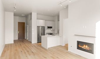 101 Willits Way 202, Basalt, CO 81621