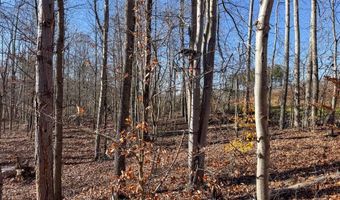 0 W Captina Highway Rd, Alledonia, OH 43902