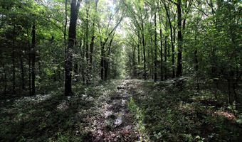 000 AVE 5 SW St, Atkins, AR 72823