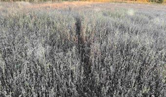 Lot 3 EAU CLAIRE RIVER ROAD, Aniwa, WI 54408