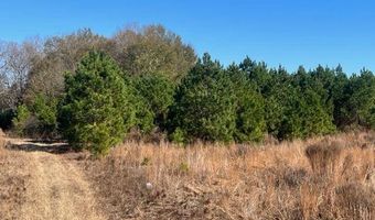 1300 Red Oak Rd, Barnwell, SC 29812