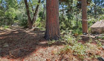 37590 Live Oak, Angelus Oaks, CA 92305