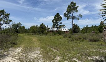 19660 NW Alice Vreeland Rd, Altha, FL 32421