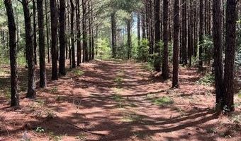 3199 DOZIER Rd, Appling, GA 30802