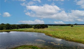 Tbd Fm-2819, Anderson, TX 77830