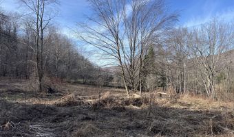 1361 Weaver Hollow Rd, Andes, NY 13731