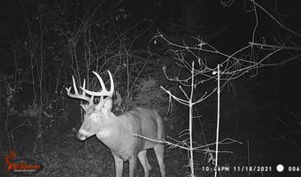 8752 HWY A, Almond, WI 54909