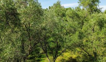 2804 S Grade Rd, Alpine, CA 91901