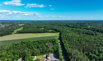 614 County Route 48, Albion, NY 13302