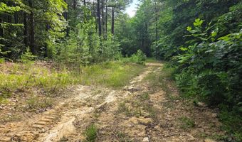 1408 Coleman Mountain Rd, Appomattox, VA 24522