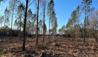 005 Old Camden Rd 5, Bishopville, SC 29010