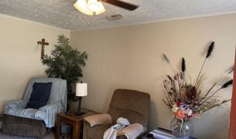 20 Diane Ave, Ash Flat, AR 72513