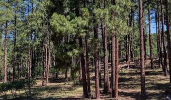 79 Spruce Way, Bayfield, CO 81122