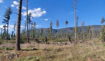 NNA This Way Rd, Bonners Ferry, ID 83805