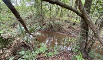 32505 Chapel Pine Drive Lot Cdt4, Albany, LA 70711