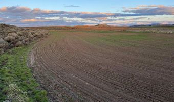 10 Mile Pass Rd, Bancroft, ID 83217