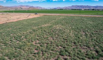19561 Queens Crown Rd, Carey, ID 83320